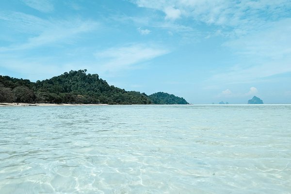 Eventsbythesocialbutterfly