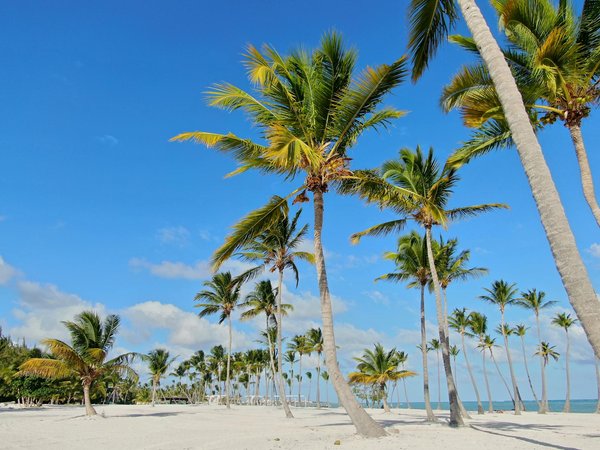 Camping ondres : un séjour inoubliable entre nature et aventures